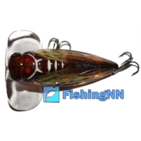 River2sea Cicada pop цвет CP-03